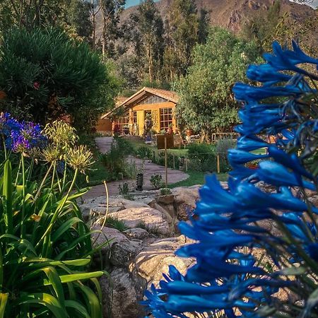 Andean Wings Valley Urubamba Ngoại thất bức ảnh