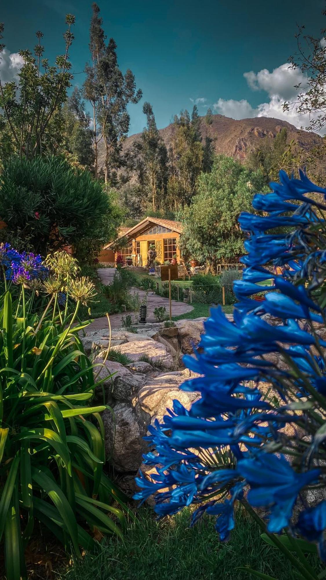 Andean Wings Valley Urubamba Ngoại thất bức ảnh