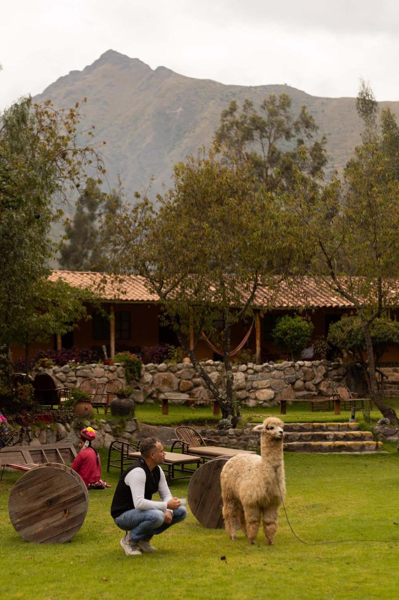 Andean Wings Valley Urubamba Ngoại thất bức ảnh
